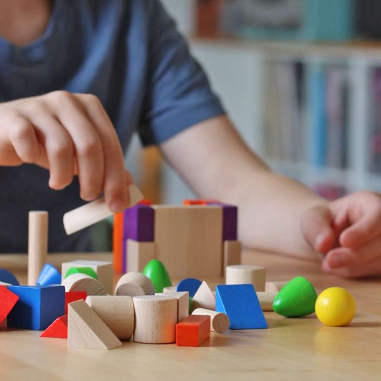 Sina Small Building Blocks World