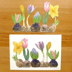 Paper Cut Outs - Spring Bulbs