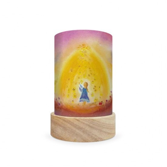 Toverlux Lantern Shades Set - Baukje Exler - Fairy Tales