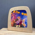 Toverlux Storylux - Daniela Drescher - Little Fairy Can't Sleep Set - 4 Pcs