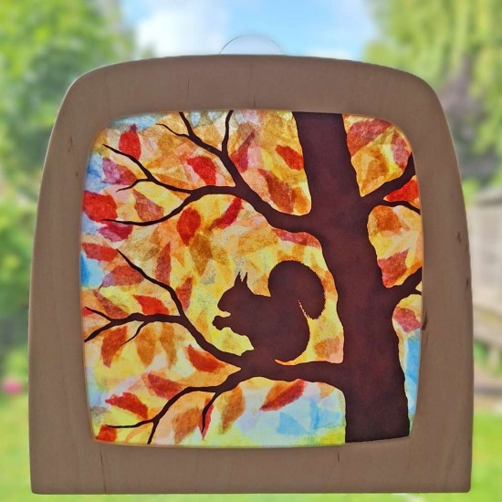 Toverlux DIY Transparency - Autumn Squirrel