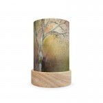 Toverlux Lantern Shades Set - Baukje Exler - Nature Tales