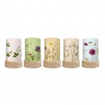 Toverlux Lantern Shades Set - Beth Kendall - Pressed Garden Blooms
