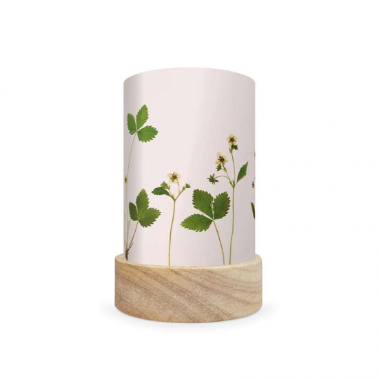 Toverlux Lantern Shades Set - Beth Kendall - Pressed Garden Blooms