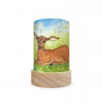 Toverlux Lantern Shades Set - Eentje Margo - Forest Animals