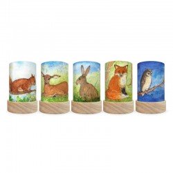 Toverlux Lantern Shades Set - Eentje Margo - Forest Animals