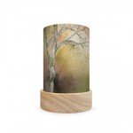 Toverlux Lantern Shades Set - Baukje Exler - Holidays