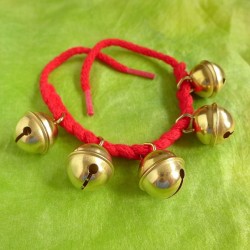Ankle Bells 