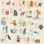 Wilded Family Poster - Rainbow Alphabet 