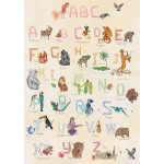 Wilded Family Poster - Rainbow Alphabet 