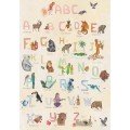 Wilded Family Poster - Rainbow Alphabet 