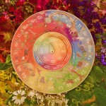 Wilded Family Alphabet Story Wheel