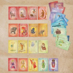 Wilded Family Cards - International Alphabet 