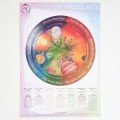 Wilded Family Poster - Mindful Week 