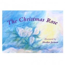 The Christmas Rose