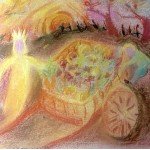 The Harvest Story